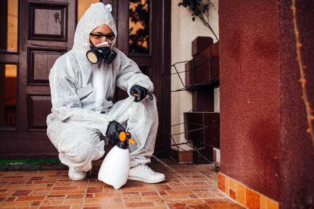 Reliable Cockroach Control contractor in Glenview, IL by Nex Pest Control